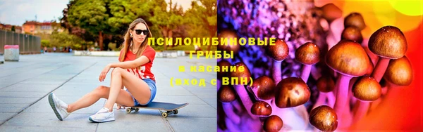 гашик Аркадак