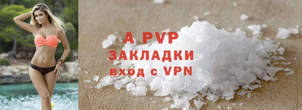 гашик Аркадак