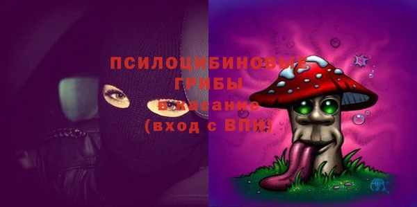 мяу мяу мука Балабаново
