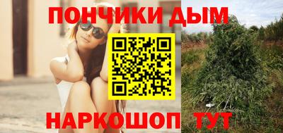 сатива Кимры