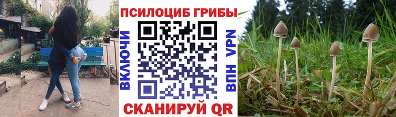 Псилоцибиновые грибы Psilocybine cubensis купить наркоту Люберцы