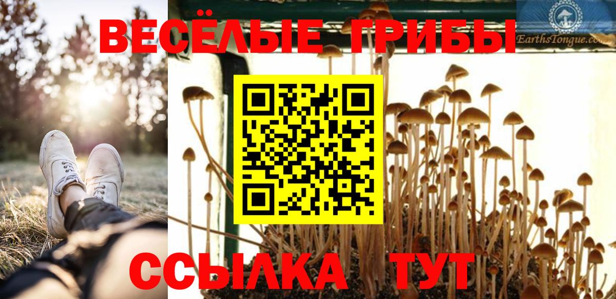 Псилоцибиновые грибы мухоморы  Вход с VPN  Люберцы 