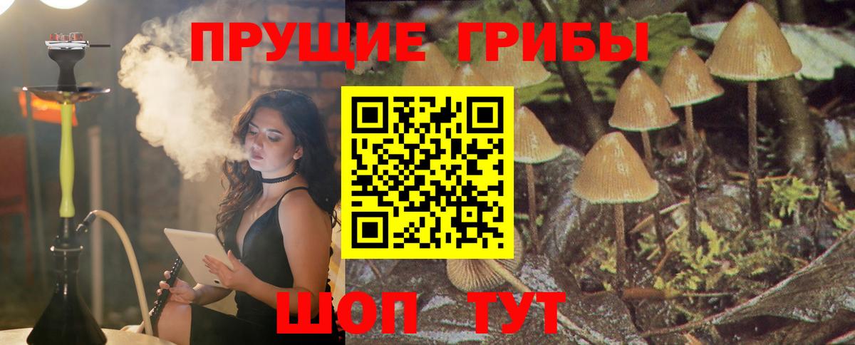 Псилоцибиновые грибы Psilocybine cubensis Люберцы